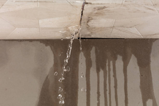 Professional Water Damage Restoration technician working in Eagle, NE